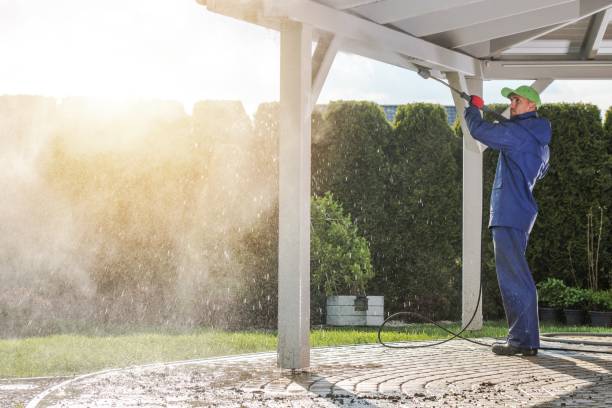 Best Solar Panel Cleaning  in Mount Pocono, PA