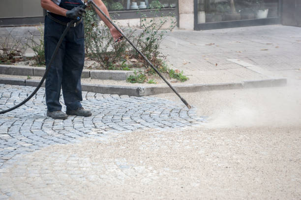 Best Roof Washing  in Mount Pocono, PA